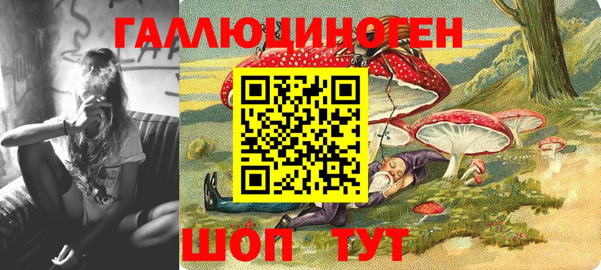 Псилоцибиновые грибы Psilocybine cubensis Дзержинский