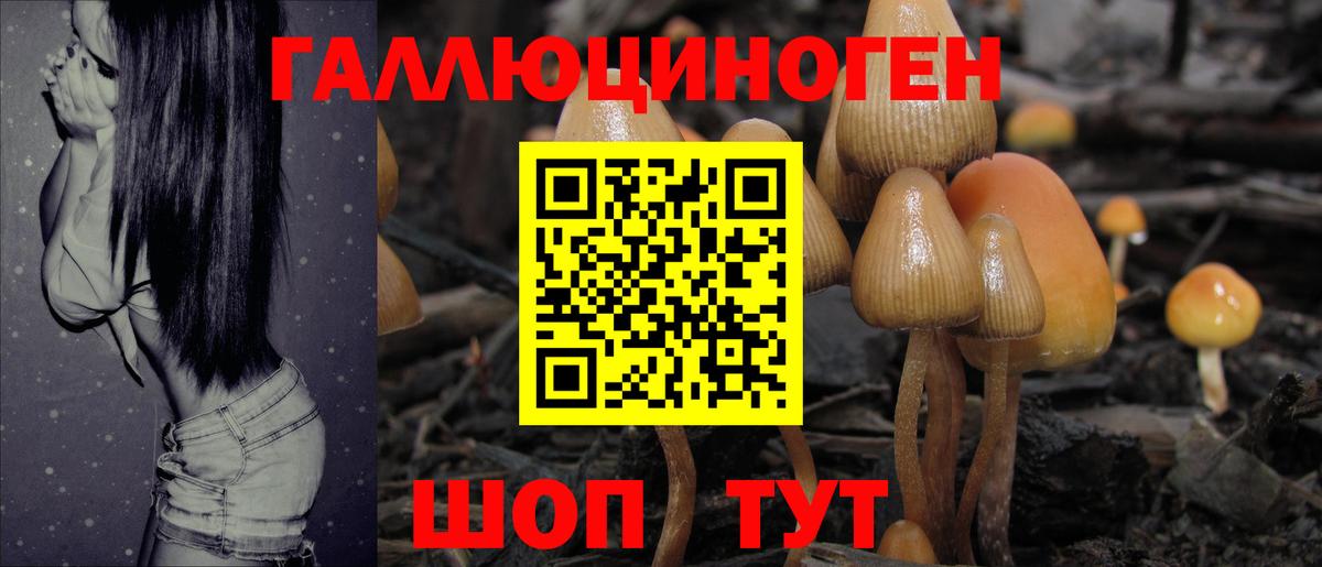 Дзержинский  Псилоцибиновые грибы GOLDEN TEACHER  Вход с VPN 